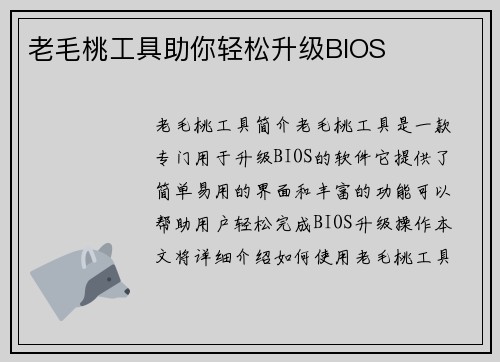 老毛桃工具助你轻松升级BIOS
