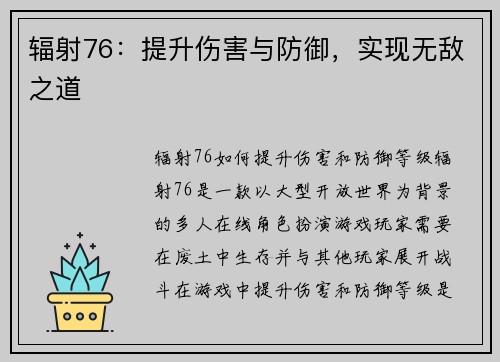 辐射76：提升伤害与防御，实现无敌之道